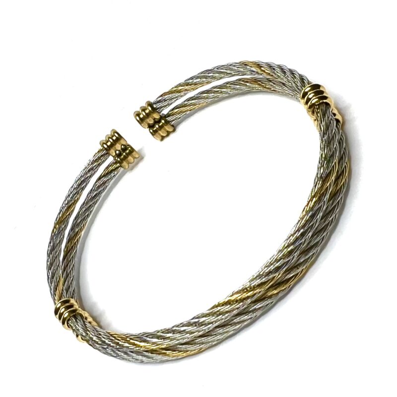 Stainless Steel Two Wire Bangle w/ Gold Accents