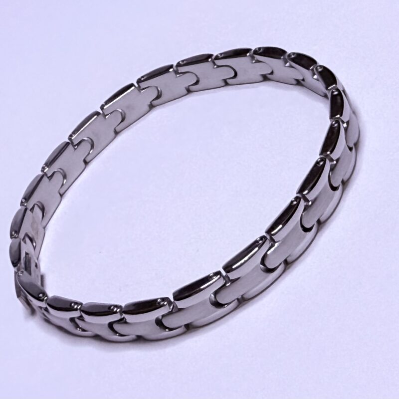 Stainless Brushed Buckle Bracelet